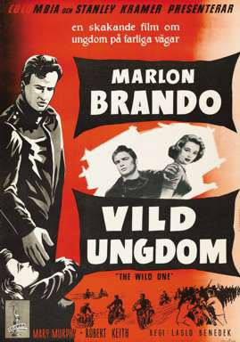 THE WILD ONE 1953 SWEDISH 1-SHEET Poster MARLON BRANDO