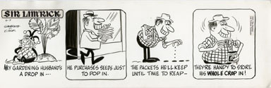 ED NOFZIGER -SIR LIM'RICK DAILY ART 06-07-67 GARDENING