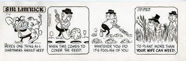 ED NOFZIGER -SIR LIM'RICK DAILY ART 07-13-67 GARDENING