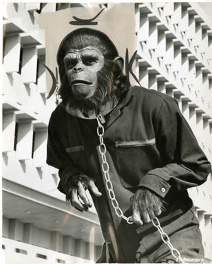 RODDY McDOWALL - CONQUEST OF THE PLANET OF THE APES VINTAGE PUB STILL (1972)