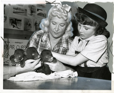 NEWS PHOTO: FEEDING BEAR CUBS - DETROIT (1958)