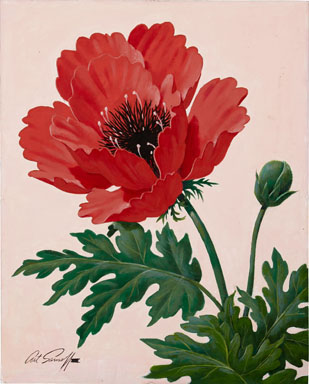 ARTHUR SARNOFF - RED POPPY ILLUSTRATION ORIGINAL ART