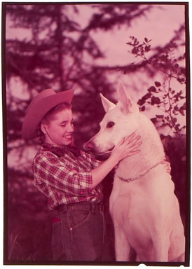 CORKY & WHITE SHADOW CVR CLR TRANSPARENCY DARLENE G (1)