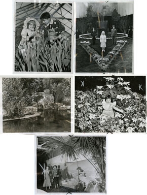 NEWS PHOTO: FLOWER SHOW - 5 VINT STILLS 1940-53 DETROIT