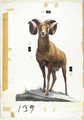 JOHN SCOTT - Original RAM Painting - WINCHESTER