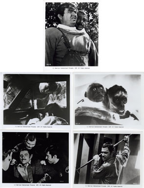 INCREDIBLE TWO-HEADED TRANSPLANT 1979 - 13 PUB. STILLS