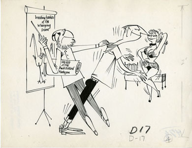 CHARLES DENNIS - GIRLIE MAG CARTOON ART Breeding HABITS