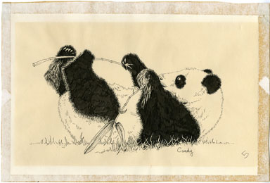 CANDY THROCKMORTON - ANABOLIS INSANIA PANDA ORIG ART